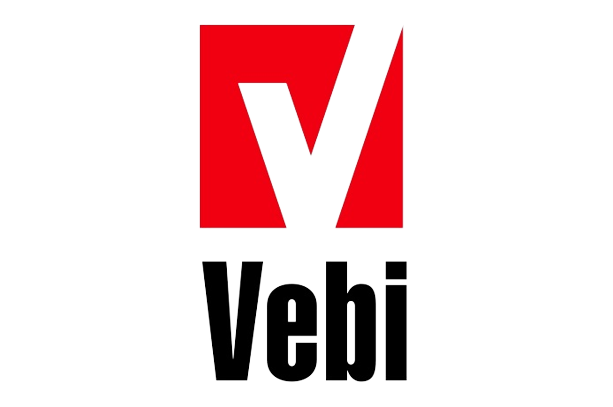 vebi logo 1
